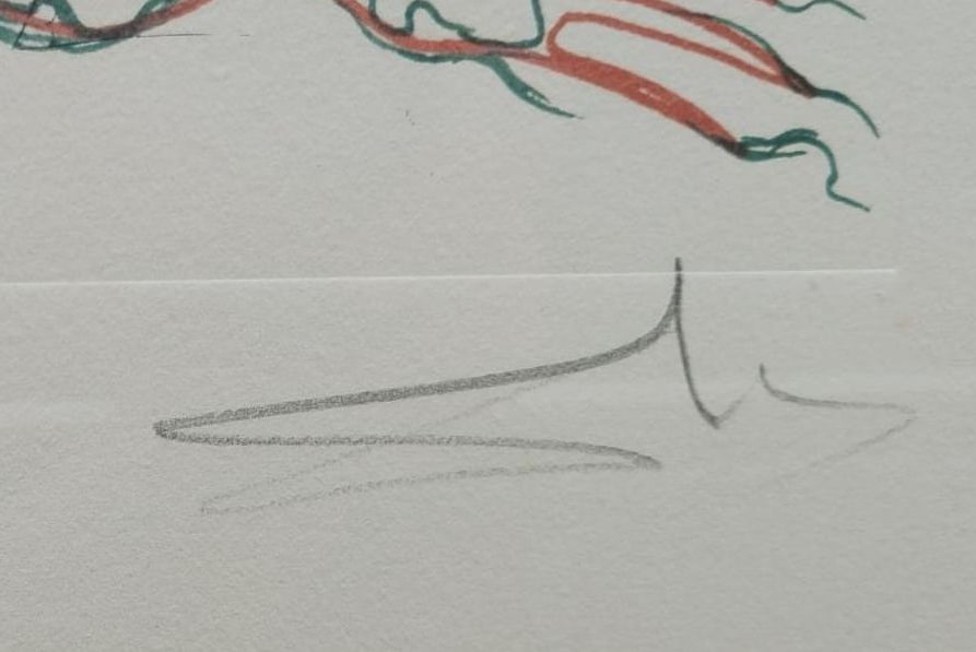 Anemone per antipasti — detail 4