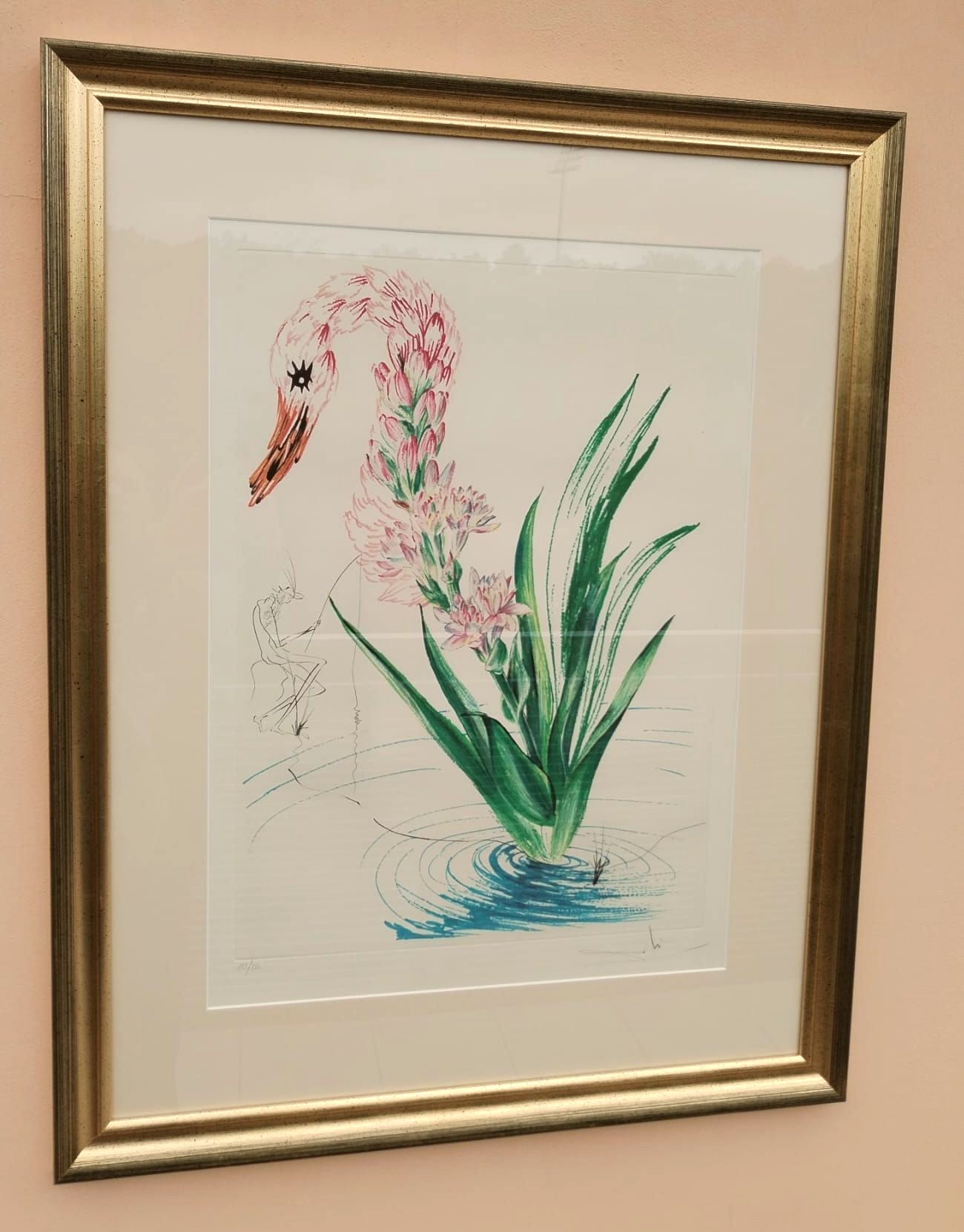 Vodní ibišek s labutí rostlinnou a rybář — detail 8