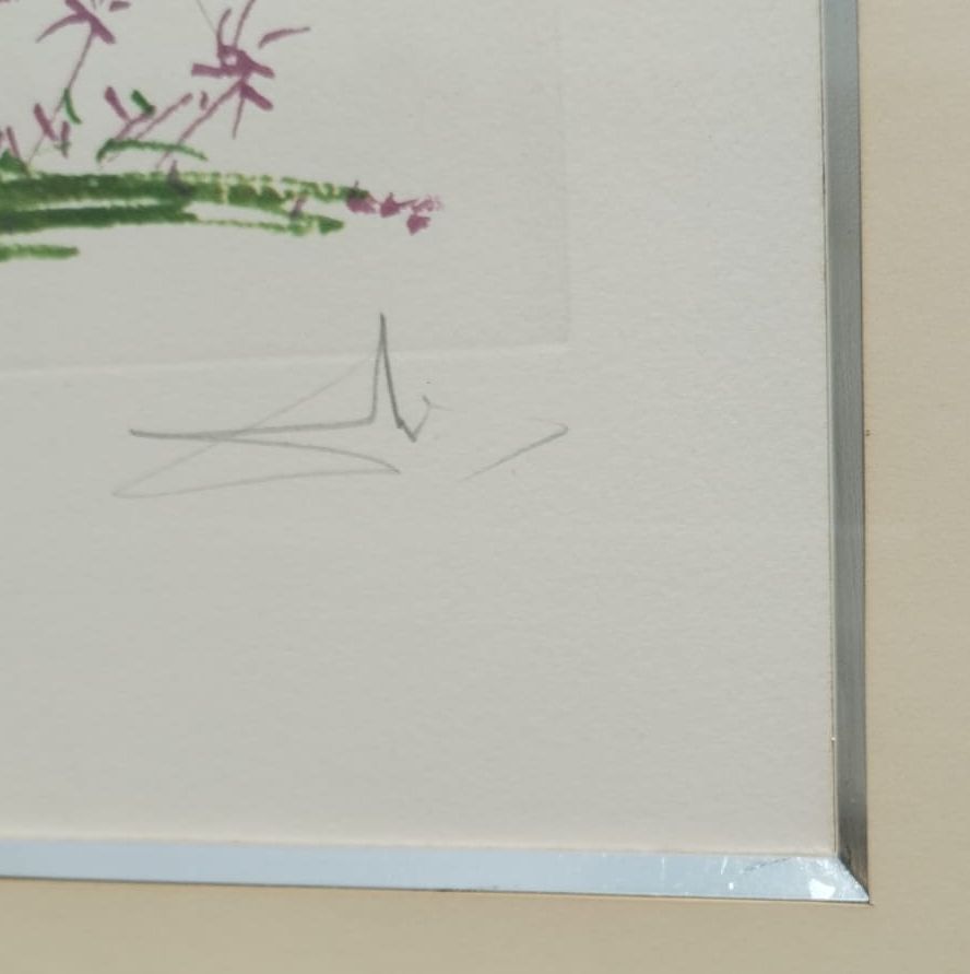 Pouštní kaktus — detail 5