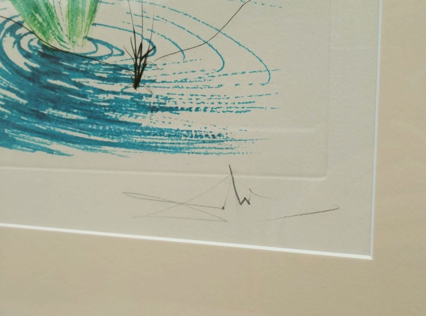 Vodní ibišek s labutí rostlinnou a rybář — detail 5