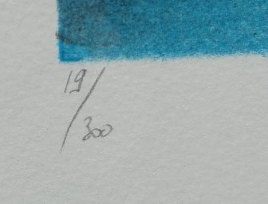 Šťastný unicorn (šťastný kůň) — detail 4